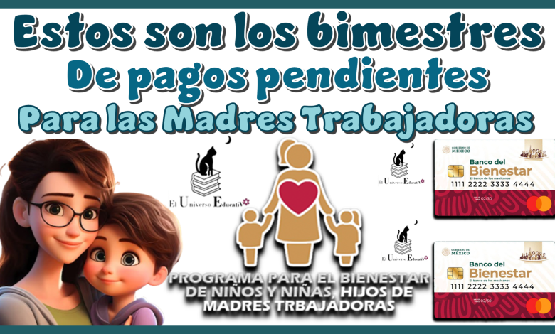 Estos son los bimestres de pagos pendientes para las Madres Trabajadoras