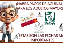 ¿HABRÁ PAGOS DE AGUINALDO PARA LOS ADULTOS MAYORES?... ESTAS SON LAS FECHAS MÁS IMPORTANTE PARA LAS Y LOS PENSIONADOS DE ESTAS PENSIONES