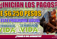 INICIAN LOS PAGOS DE $6,250 PESOS DE ESTE PROGRAMA SOCIAL?, ¿TENDRÁ O NO AUMENTO