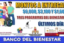 MONTOS A ENTREGAR DE $6,000, $3,100 Y $1,600 PESOS DE LOS TRES PROGRAMAS DEL BIENESTAR | ÚLTIMOS DÍAS 