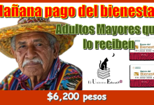 Mañana pago del bienestar | Adultos Mayores qué lo reciben