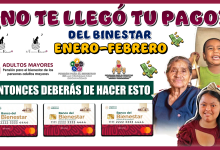 NO TE LLEGÓ TU PAGO DEL BIENESTAR DE ENERO-FEBRERO?.ENTONCES DEBERÁS DE HACER ESTO