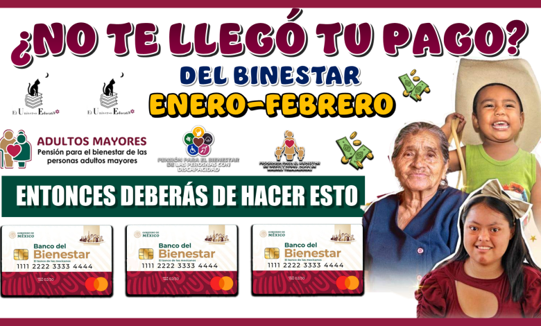 NO TE LLEGÓ TU PAGO DEL BIENESTAR DE ENERO-FEBRERO?.ENTONCES DEBERÁS DE HACER ESTO