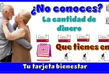 ¿No conoces la cantidad de dinero qué tienes en tu tarjeta bienestar?