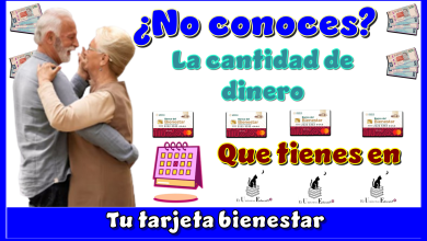 ¿No conoces la cantidad de dinero qué tienes en tu tarjeta bienestar?