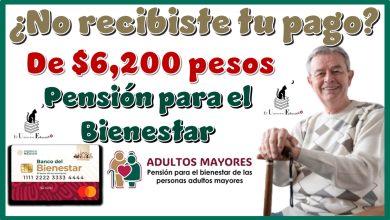 ¿No recibiste tu pago de $6,200 pesos de la Pensión para el Bienestar?...Estos son los motivos