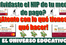 ¿Olvidaste el NIP de tu medio de pago?… ¡Atento con lo qué tienes qué hacer!