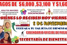 PAGOS DE: $6,000 PESOS, $3,100 PESOS Y $1,600 PESOS | ¿QUIÉNES LO RECIBEN HOY VIERNES 8 DE NOVIEMBRE? 