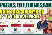 PAGOS DEL BIENESTAR DEL BIMESTRE NOVIEMBRE-DICIEMBRE | 14 Y 15 DE NOVIEMBRE 