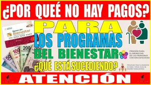 ¿POR QUÉ NO HAY PAGOS PARA LOS PROGRAMAS DEL BIENESTAR?, ¿QUÉ ESTÁ SUCEDIENDO?