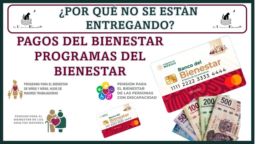 POR QUÉ NO SE ESTÁN ENTREGANDO PAGOS DEL BIENESTAR PROGRAMAS DEL BIENESTAR 