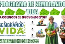 PROGRAMA DE SEMBRANDO VIDA | ¿YA CONOCES EL NUEVO MONTO A ENTREGAR EN ESTE 2025?