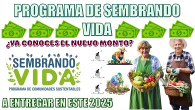 PROGRAMA DE SEMBRANDO VIDA | ¿YA CONOCES EL NUEVO MONTO A ENTREGAR EN ESTE 2025?