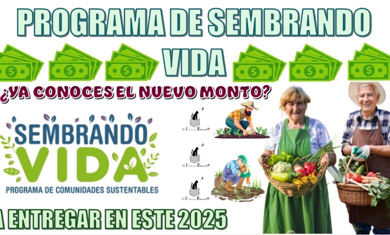 PROGRAMA DE SEMBRANDO VIDA | ¿YA CONOCES EL NUEVO MONTO A ENTREGAR EN ESTE 2025?