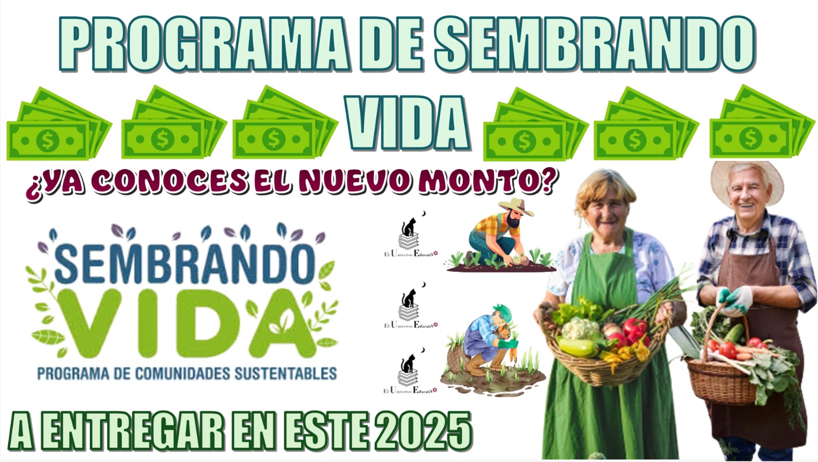 PROGRAMA DE SEMBRANDO VIDA | ¿YA CONOCES EL NUEVO MONTO A ENTREGAR EN ESTE 2025?