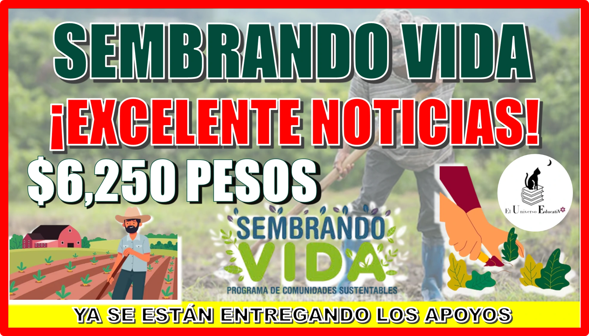 PROGRAMA DE SEMBRANDO VIDA… ¡EXCELENTE NOTICIAS BENEFICIARIOS!, YA SE ESTÁN ENTREGANDO ESTOS APOYOS ECONÓMICOS 