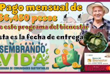 Pago mensual de $6,450 de este programa del bienestar...Esta es la fecha de entrega 