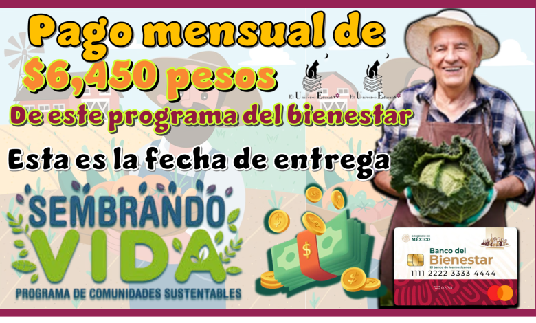 Pago mensual de $6,450 de este programa del bienestar...Esta es la fecha de entrega 