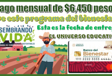 Pago mensual de $6,450 pesos de este programa del bienestar…Esta es la fecha de entrega