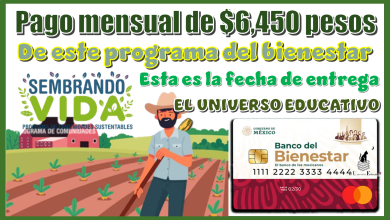 Pago mensual de $6,450 pesos de este programa del bienestar…Esta es la fecha de entrega