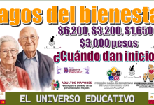 Pagos del bienestar de $6,200, $3,200, $1,650, $3,000 pesos| ¿Cuándo dan inicio?