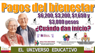 Pagos del bienestar de $6,200, $3,200, $1,650, $3,000 pesos| ¿Cuándo dan inicio?