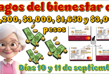 Pagos del bienestar de: $6,200, $3,200, $1,650, $3,000 pesos| Días 10 y 11 de septiembre 