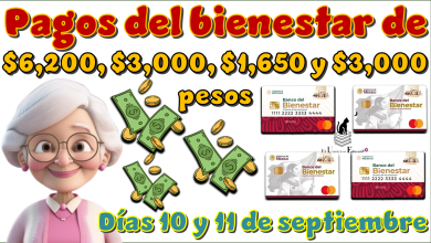 Pagos del bienestar de: $6,200, $3,200, $1,650, $3,000 pesos| Días 10 y 11 de septiembre 