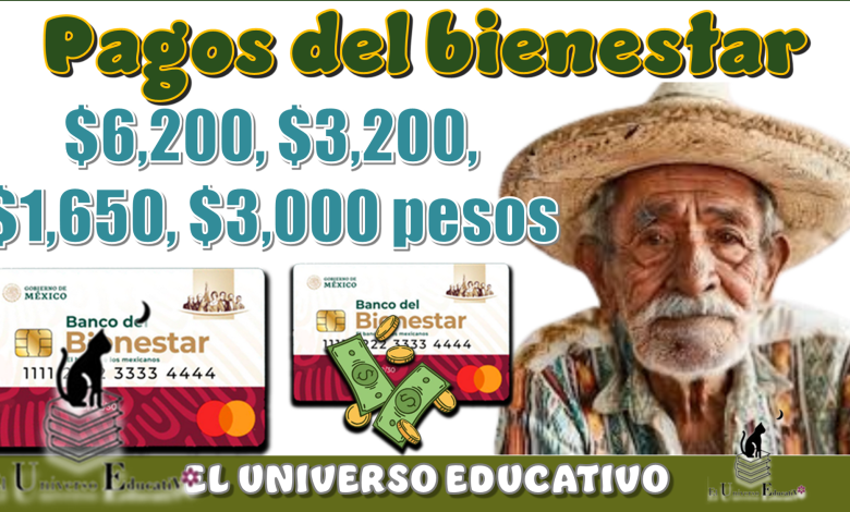Pagos del bienestar de $6,200, $3,200, $1,650, $3,000 pesos| Este lunes 21 de julio 