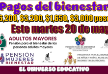 Pagos del bienestar de $6,200, $3,200, $1,650, $3,000 pesos| Este martes 20 de mayo