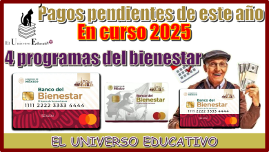 Pagos pendientes de este año en curso 2025 | 4 Programas del bienestar