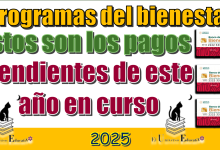 Programas del bienestar | Estos son los pagos pendientes de este año en curso 2025