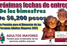 Próximas fechas de entrega de los bimestres restantes de $6,200 pesos de la Pensión para el Bienestar de las Personas Adultas Mayores 2025 