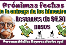 Próximas fechas de la entrega de los bimestres restantes de $6,200 pesos | Personas Adultas Mayores atentos aquí