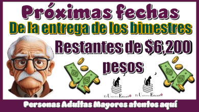 Próximas fechas de la entrega de los bimestres restantes de $6,200 pesos | Personas Adultas Mayores atentos aquí