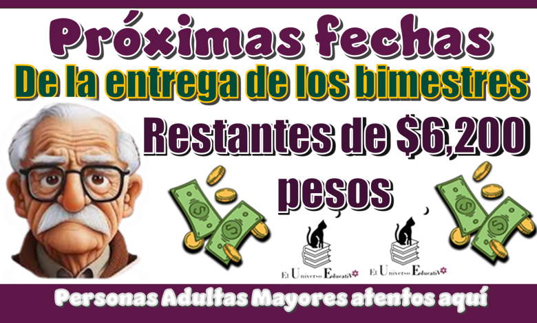 Próximas fechas de la entrega de los bimestres restantes de $6,200 pesos | Personas Adultas Mayores atentos aquí