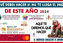 ¿QUÉ DEBES HACER SI NO TE LLEGA EL PAGO BIENESTAR DE ESTE AÑO 2024?