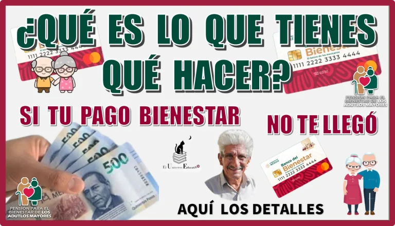 ¿QUÉ ES LO QUE TIENES QUÉ HACER SI TU PAGO BIENESTAR NO TE LLEGÓ? | AQUÍ LOS DETALLES