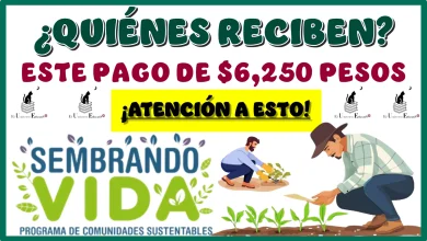 ¿QUIÉNES RECIBEN ESTE PAGO DE $6,250 PESOS?… ¡ATENCIÓN A ESTO!