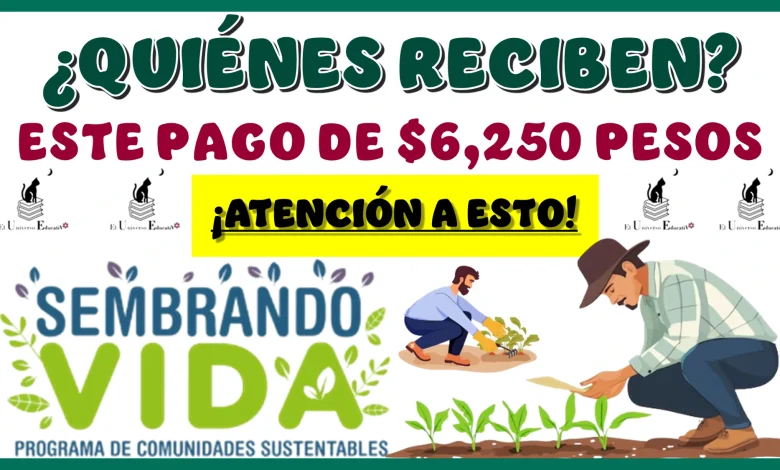 ¿QUIÉNES RECIBEN ESTE PAGO DE $6,250 PESOS?… ¡ATENCIÓN A ESTO!