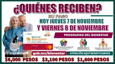 ¿QUIÉNES RECIBEN SU PAGO HOY 7 Y 8 DE NOVIEMBRE? | PROGRAMA DEL BIENESTAR 