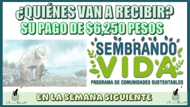 ¿QUIÉNES VAN A RECIBIR SU PAGO DE $6250 PESOS EN LA SEMANA SIGUIENTE?