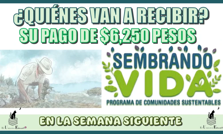 ¿QUIÉNES VAN A RECIBIR SU PAGO DE $6250 PESOS EN LA SEMANA SIGUIENTE?