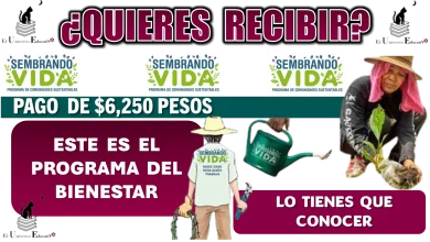 ¿QUIERES RECIBIR PAGO DE $6,250 PESOS?....ESTE ES EL PROGRAMA DEL BIENESTAR QUE TIENES QUE CONOCER 