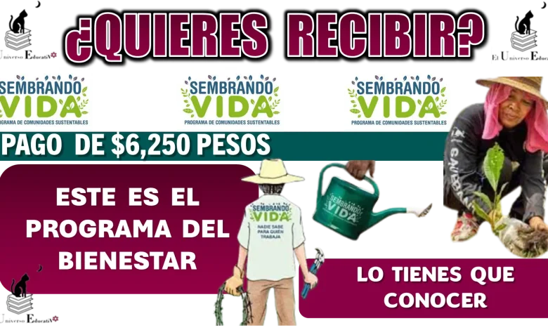 ¿QUIERES RECIBIR PAGO DE $6,250 PESOS?....ESTE ES EL PROGRAMA DEL BIENESTAR QUE TIENES QUE CONOCER 