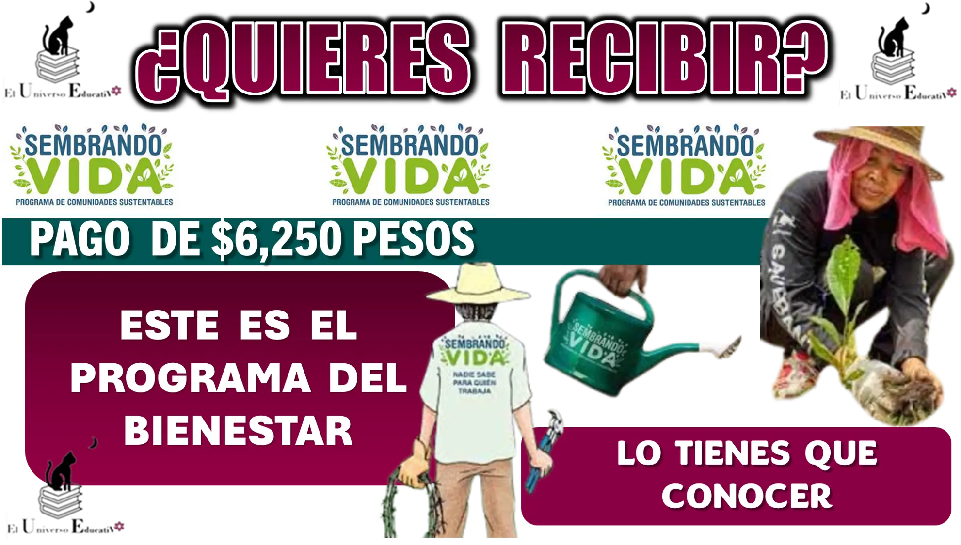 ¿QUIERES RECIBIR PAGO DE $6,250 PESOS?....ESTE ES EL PROGRAMA DEL BIENESTAR QUE TIENES QUE CONOCER 