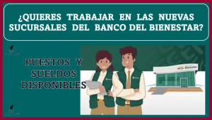 ¿QUIERES TRABAJAR EN LAS NUEVAS SUCURSALES DEL BANCO DEL BIENESTAR? | PUESTOS Y SUELDOS DISPONIBLES 