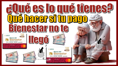 ¿Qué es lo que tienes qué hacer si tu pago bienestar no te llegó?