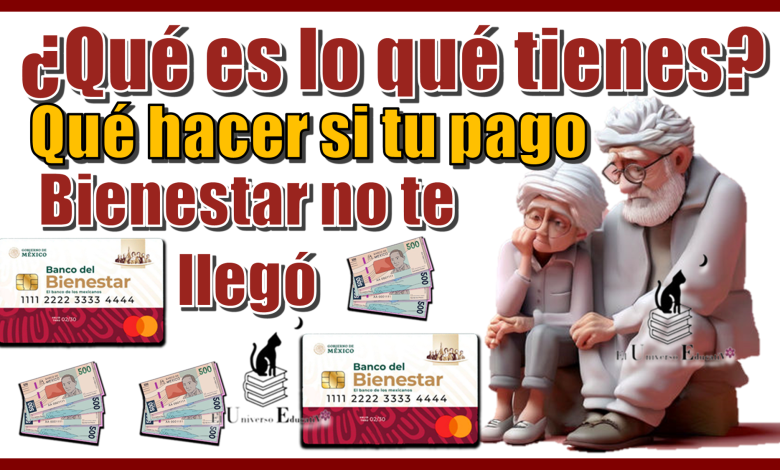 ¿Qué es lo que tienes qué hacer si tu pago bienestar no te llegó?