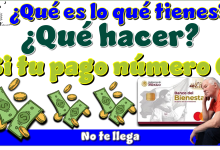 ¿Qué es lo que tienes qué hacer si tu pago número 6 no te llega?